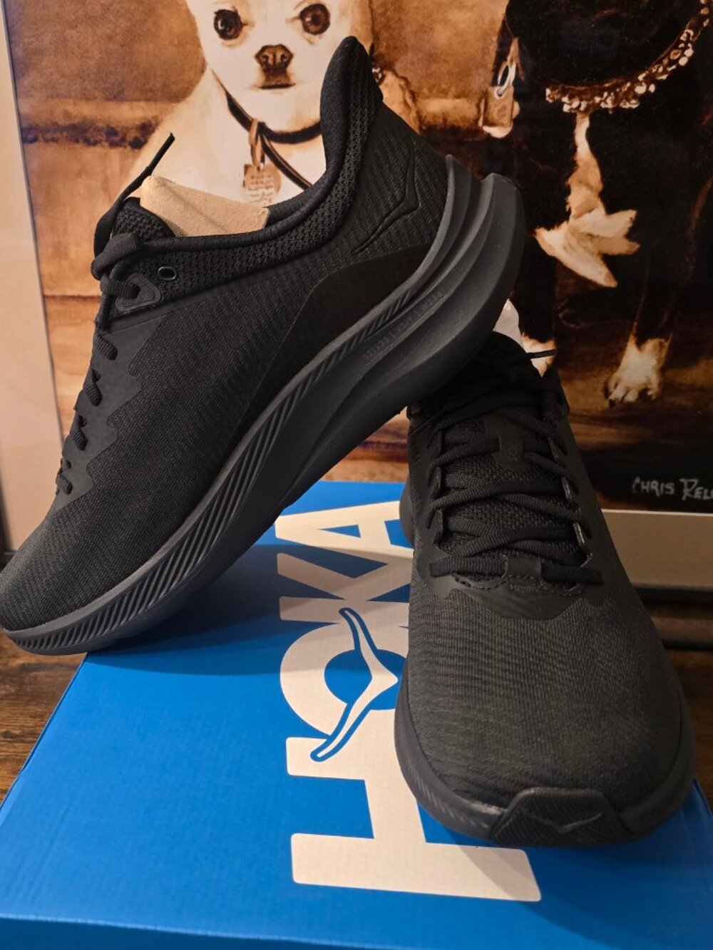 HOKA One One Solimar Running Shoes 2E EE Wide 1123090-BBLC Men's Size 12 NEW
